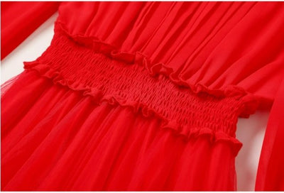 Rotes Spitzen-Retro-Kleid